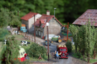 DSC_8745.JPG