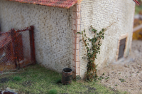 DSC_8620.JPG