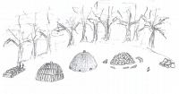 Scan_0002.jpg