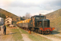 sc0001699b.jpg