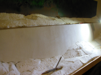DSCN8560.JPG