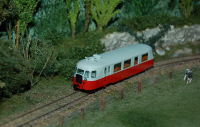 DSC_3611.JPG
