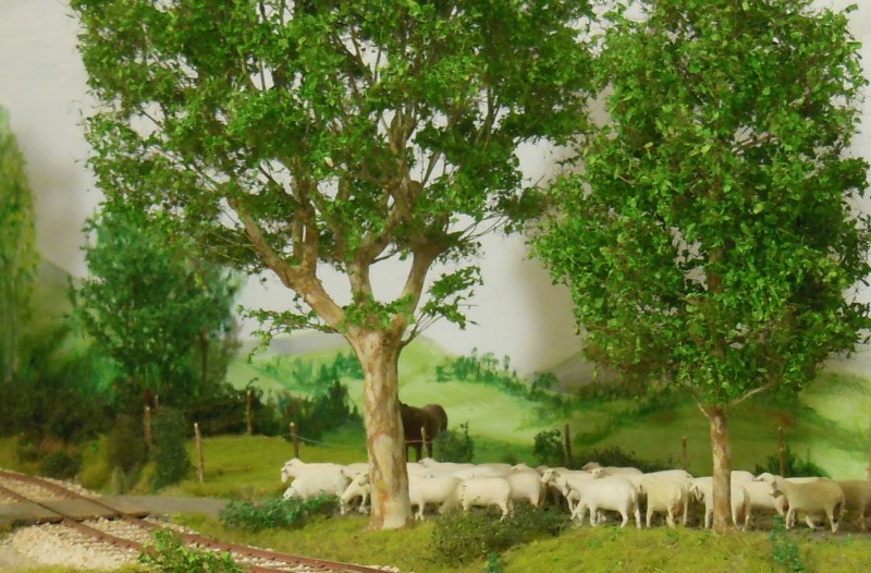 DSCN4913.JPG