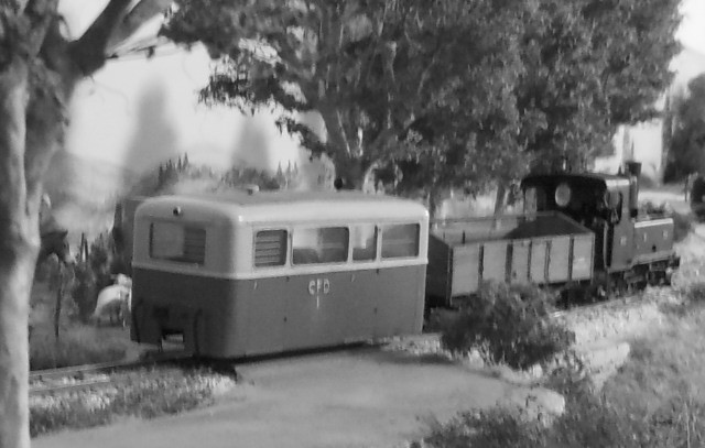 RSCN5194.JPG
