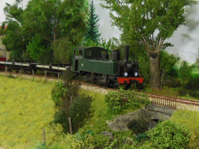 RSCN6205.JPG