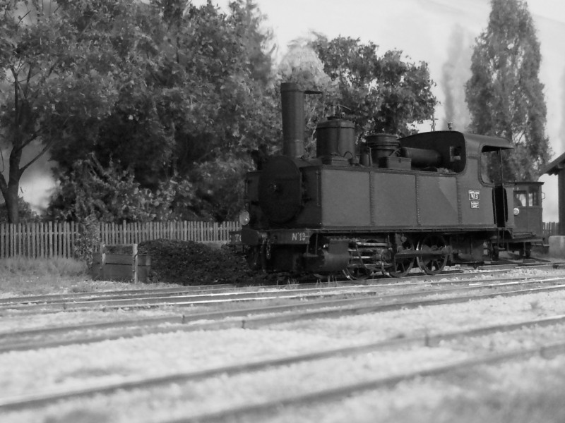 RSCN6508.JPG