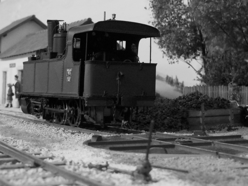 RSCN6509.JPG