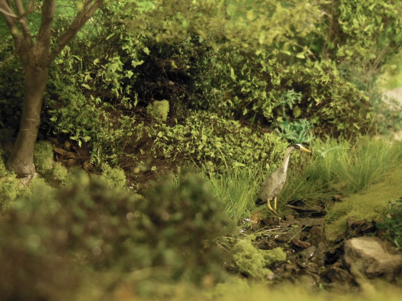 DSCN6539.JPG