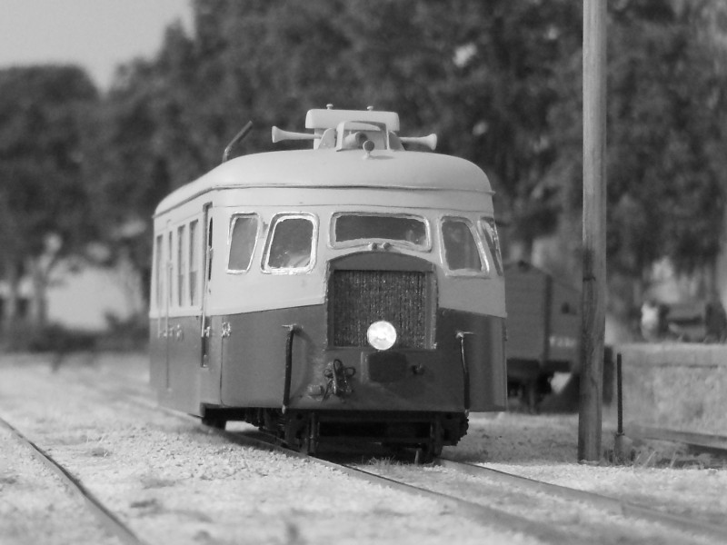 RSCN6728.JPG