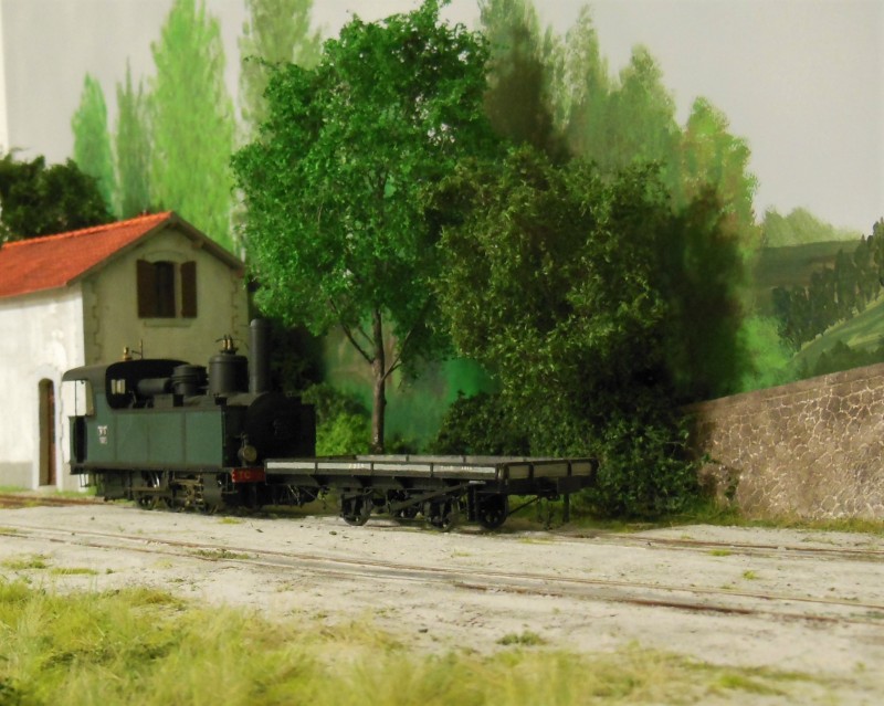 DSCN8900 bis.jpg