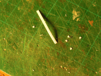 DSCN2742.JPG
