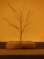 DSCN2310.JPG