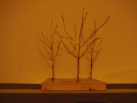 DSCN2311.JPG
