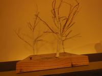 DSCN2318.JPG