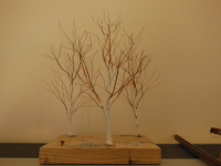 DSCN2378.JPG