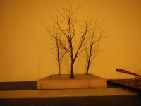 DSCN2385.JPG
