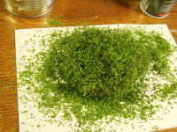 DSCN2380.JPG