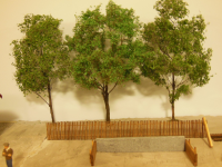DSCN2394.JPG