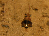 RSCN3292.JPG