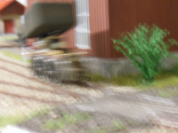 DSCN4679.JPG