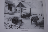 IMGP9477 Réduite.jpg