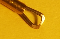 20201109_121214.jpg