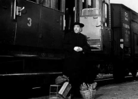 DCamillo-.jpg