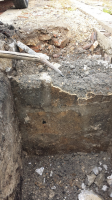 20140426_113159 1.jpg