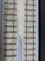 IMG_8780.jpeg