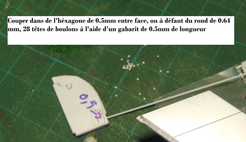DSCN7298.JPG