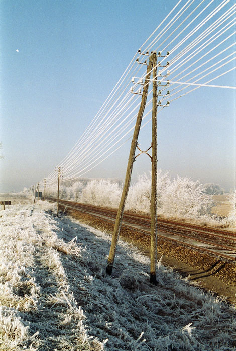 1993-01-003neg.jpg