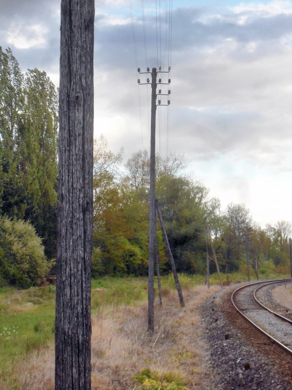 DSC08117 copie.jpg