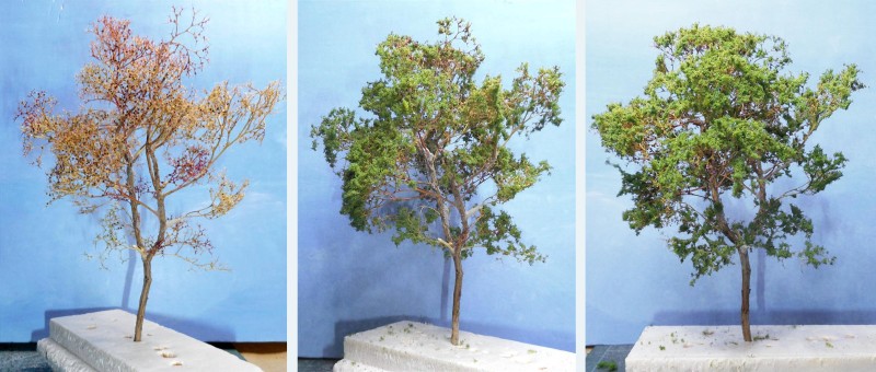 Grand arbre.jpg