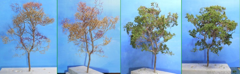 Arbre - Phase 1.jpg