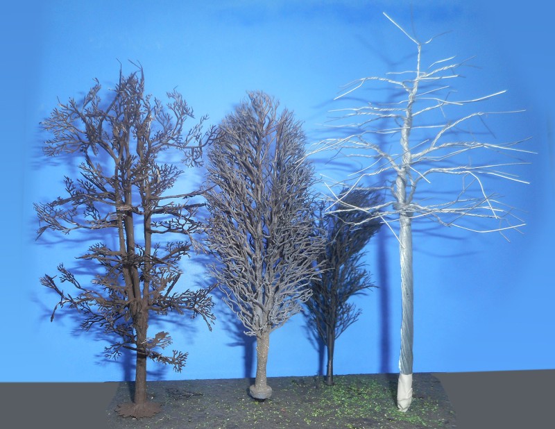 DSCN1187.jpg