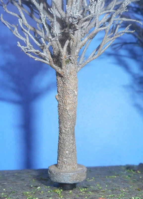 DSCN1189.jpg