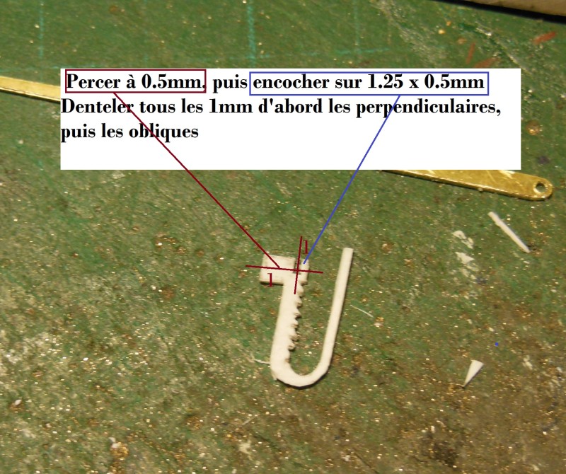 DSCN7488.JPG