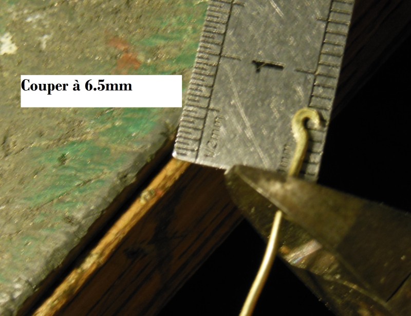 DSCN7398.JPG
