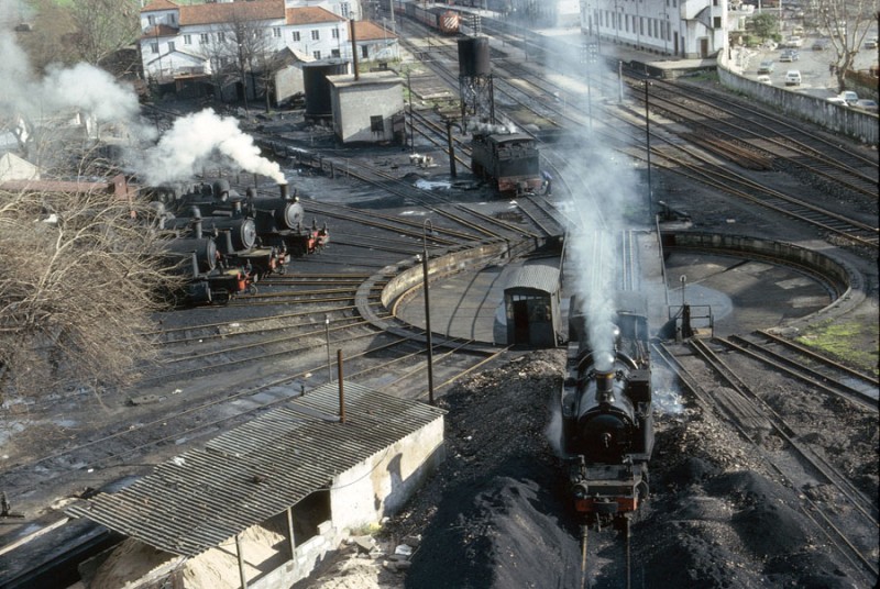 1977-03-704portug-regua.jpg
