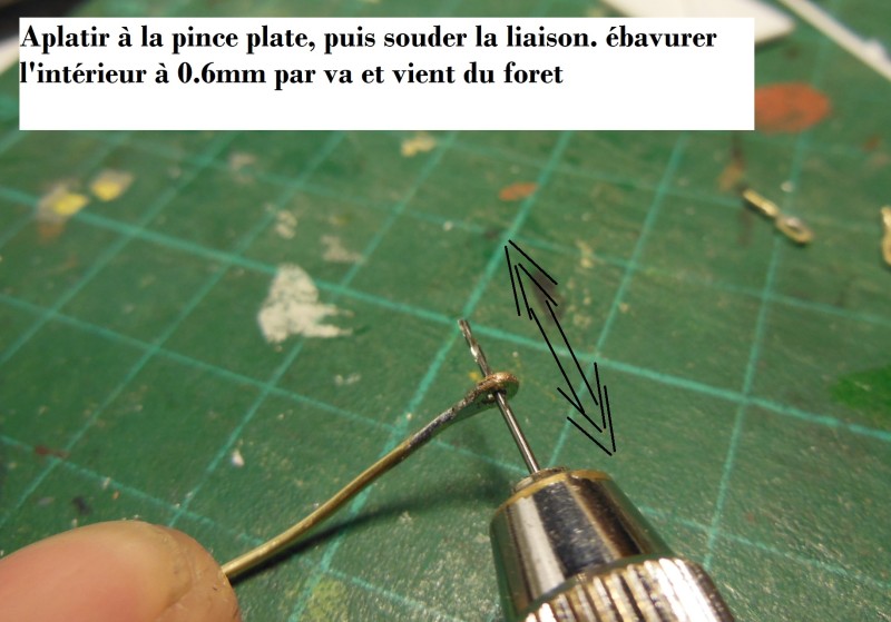 DSCN7410.JPG