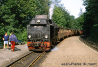 99 231-247 1984 99 7241 steinerne renne.jpg