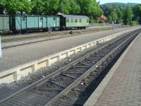 DSC09627.JPG