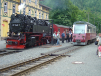 DSC02577.JPG