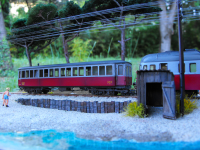 DSCF1371.JPG